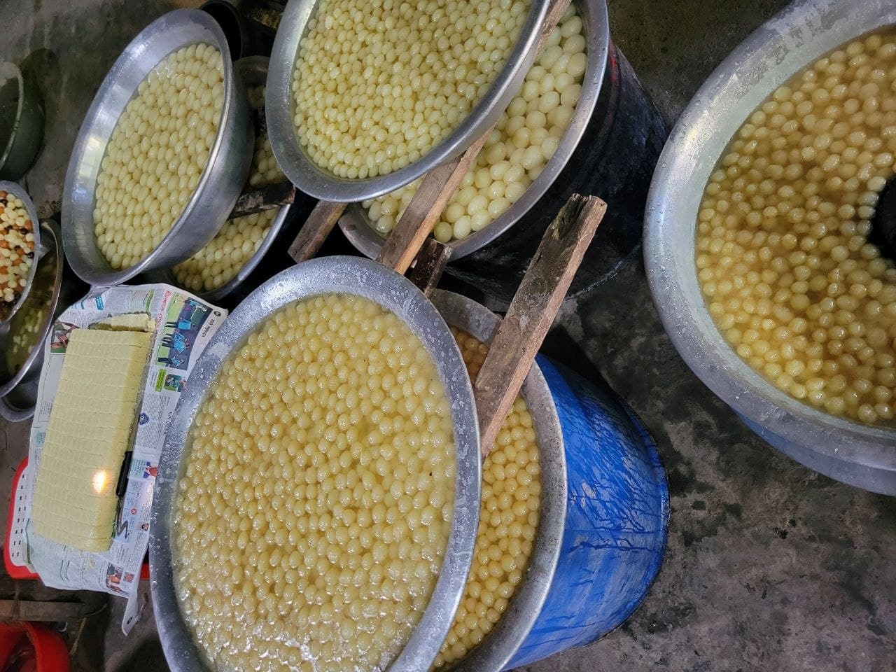 গ্যালারি ছবি