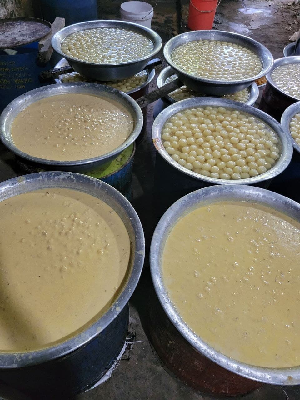 গ্যালারি ছবি